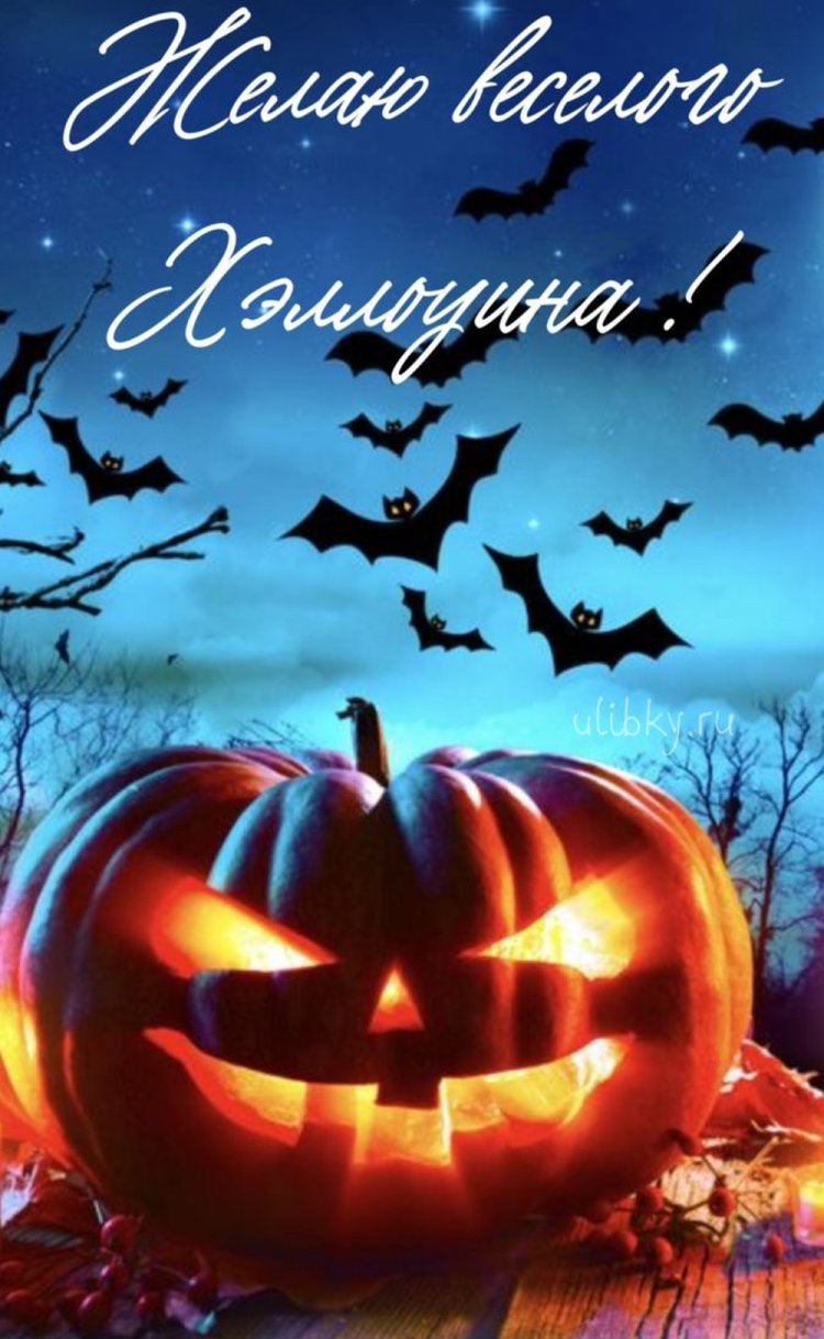Прикольные открытки на Хэллоуин Прикольные открытки на Хэллоуин
