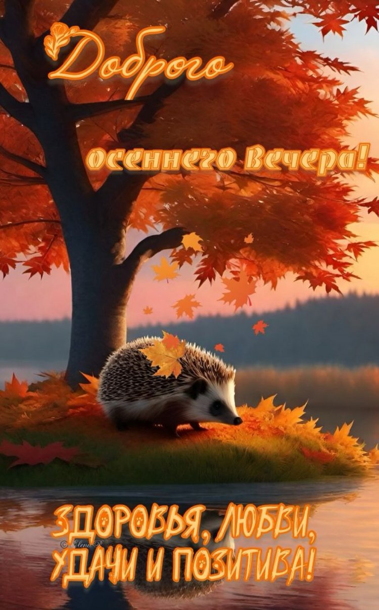 Оригинальные и красивые осенние открытки «Добрый вечер!» Оригинальные и красивые осенние открытки «Добрый вечер!»