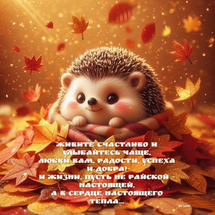 Прикольные осенние открытки «Добрый вечер!» Прикольные осенние открытки «Добрый вечер!»
