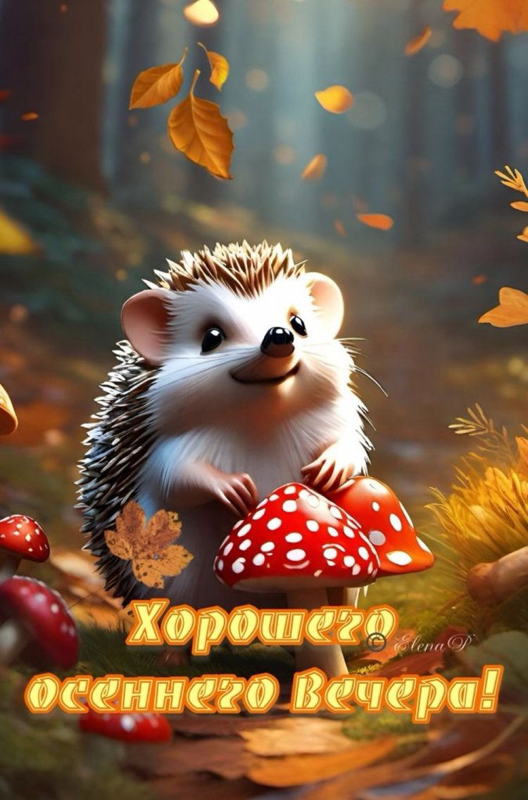 Прикольные осенние открытки «Добрый вечер!» Прикольные осенние открытки «Добрый вечер!»