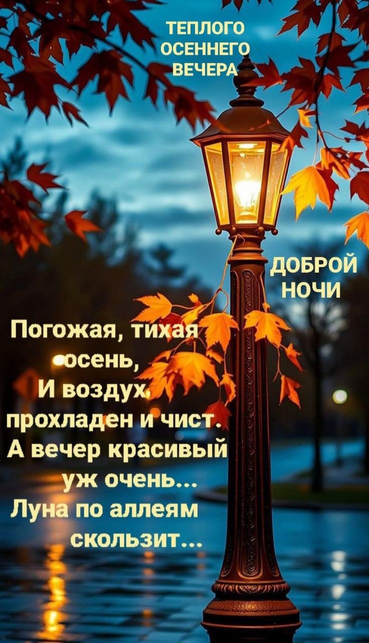 Осенние открытки «Добрый вечер и спокойной ночи!» Осенние открытки «Добрый вечер и спокойной ночи!»