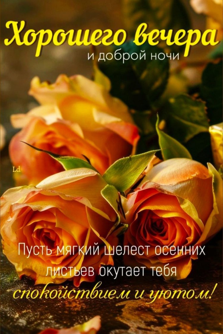 Осенние открытки «Добрый вечер и спокойной ночи!» Осенние открытки «Добрый вечер и спокойной ночи!»