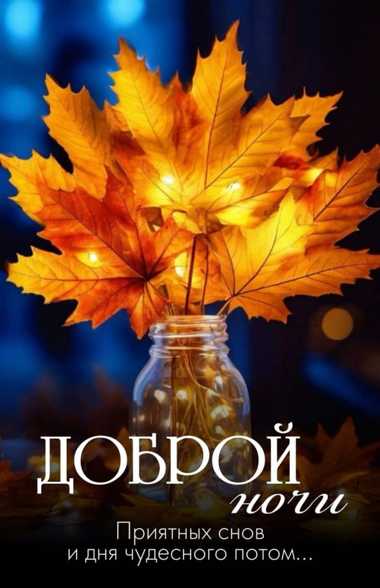 Осенние открытки «Спокойной ночи!» мужчине Осенние открытки «Спокойной ночи!» мужчине