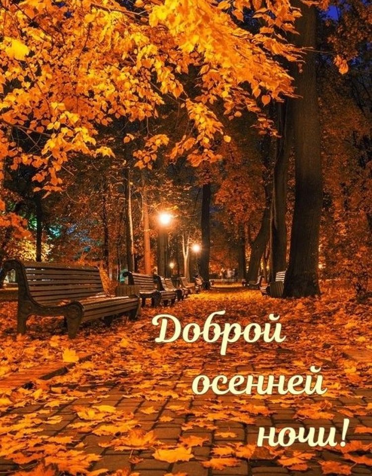 Оригинальные и красивые осенние открытки «Спокойной ночи!» Оригинальные и красивые осенние открытки «Спокойной ночи!»