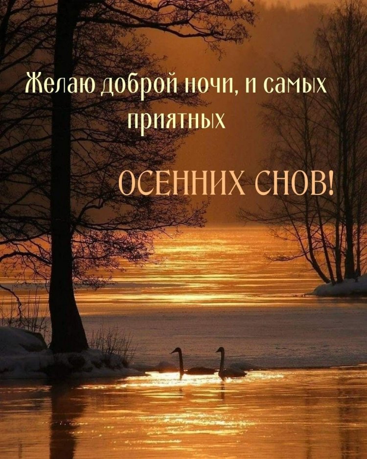 Оригинальные и красивые осенние открытки «Спокойной ночи!» Оригинальные и красивые осенние открытки «Спокойной ночи!»