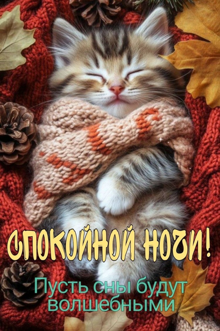Прикольные осенние открытки «Спокойной ночи!» Прикольные осенние открытки «Спокойной ночи!»