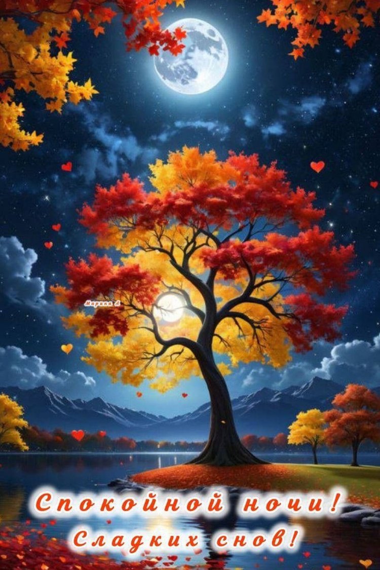 Осенние открытки «Спокойной ночи и добрых снов!» Осенние открытки «Спокойной ночи и добрых снов!»