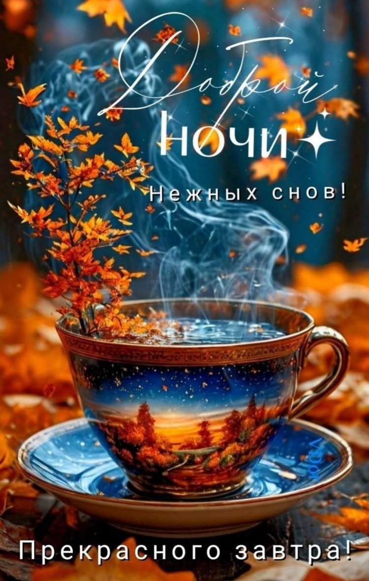 Осенние открытки «Спокойной ночи и добрых снов!» Осенние открытки «Спокойной ночи и добрых снов!»