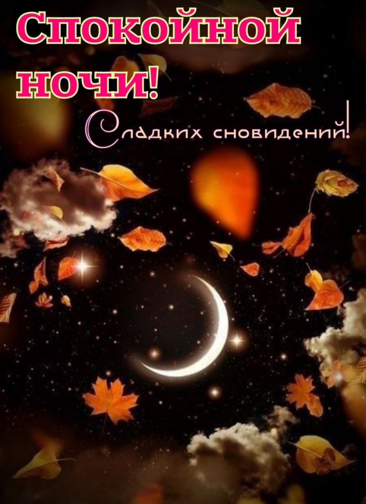 Осенние открытки «Спокойной ночи и добрых снов!» Осенние открытки «Спокойной ночи и добрых снов!»