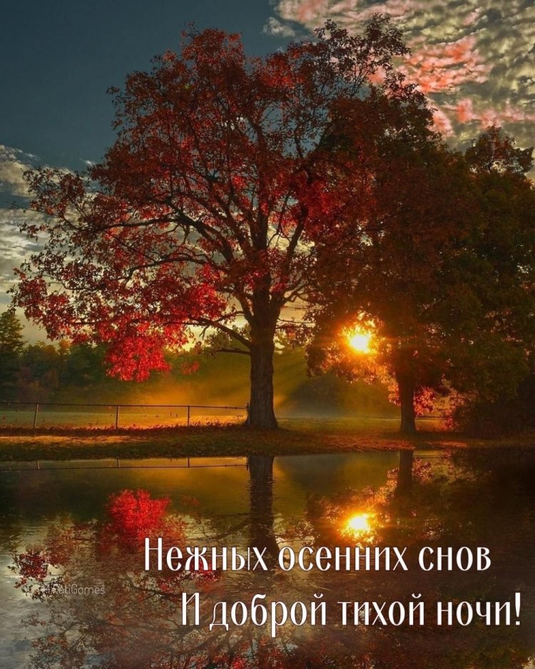 Осенние открытки «Спокойной ночи!» для женщины Осенние открытки «Спокойной ночи!» для женщины