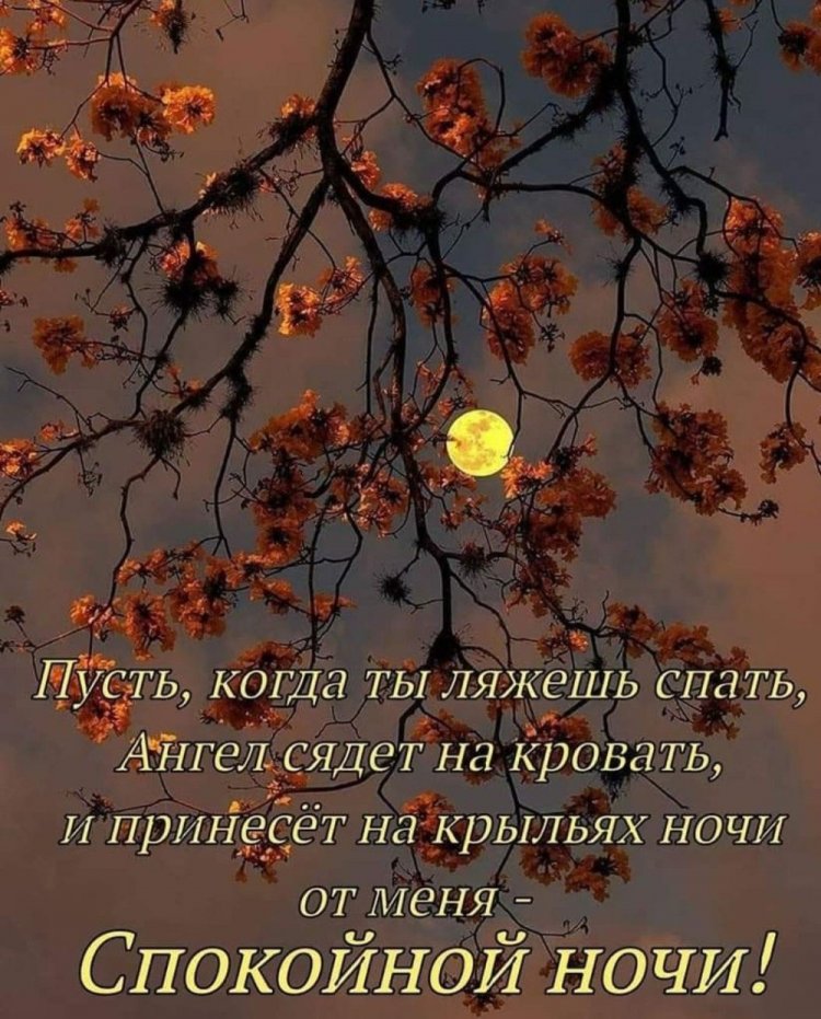 Осенние открытки «Спокойной ночи!» для женщины Осенние открытки «Спокойной ночи!» для женщины