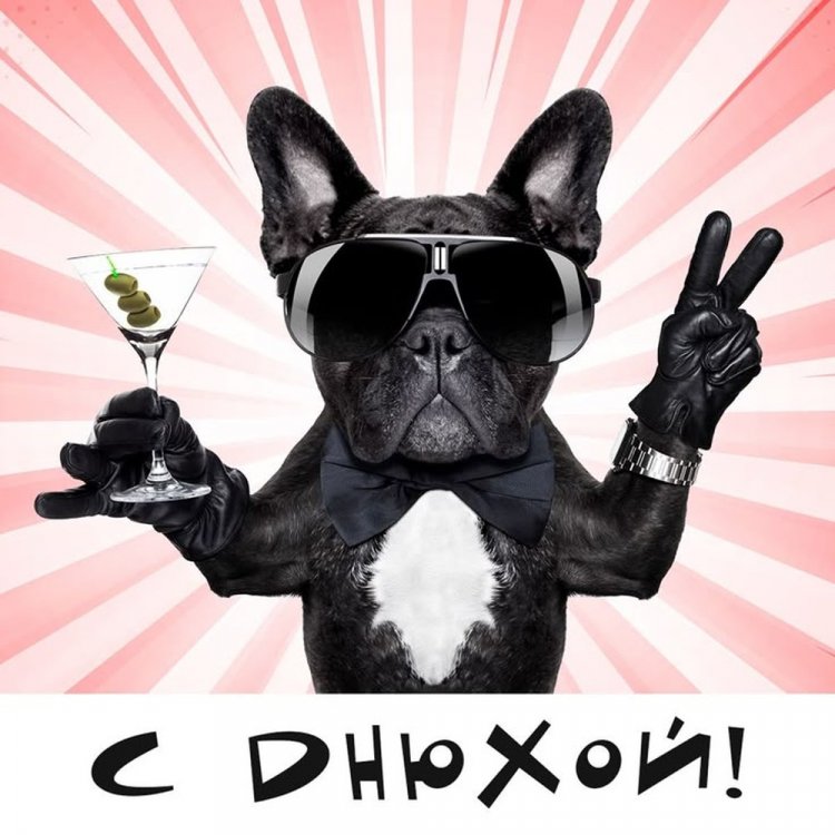 Прикольные открытки и картинки «С Днем рождения!» другу Прикольные открытки и картинки «С Днем рождения!» другу