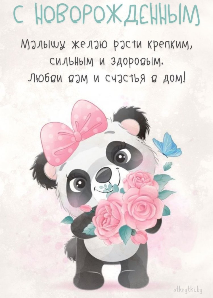 Оригинальные и красивые открытки «С новорожденным!» Оригинальные и красивые открытки «С новорожденным!»