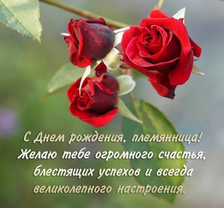 Трогательные открытки и картинки «С Днем рождения!» племяннице Трогательные открытки и картинки «С Днем рождения!» племяннице