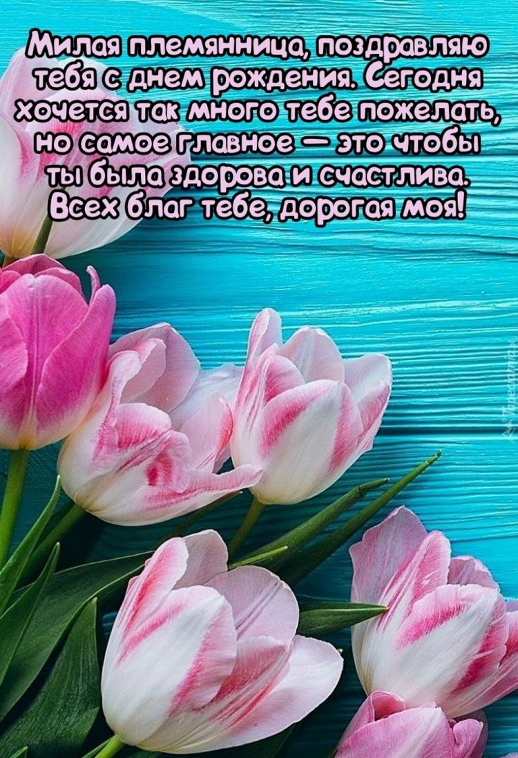 Трогательные открытки и картинки «С Днем рождения!» племяннице Трогательные открытки и картинки «С Днем рождения!» племяннице