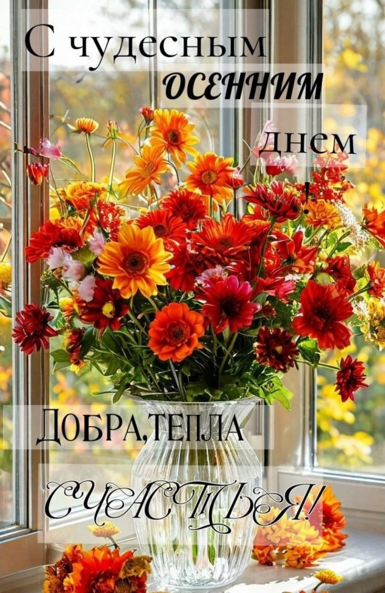 Оригинальные и красивые осенние открытки «Хорошего дня!» Оригинальные и красивые осенние открытки «Хорошего дня!»