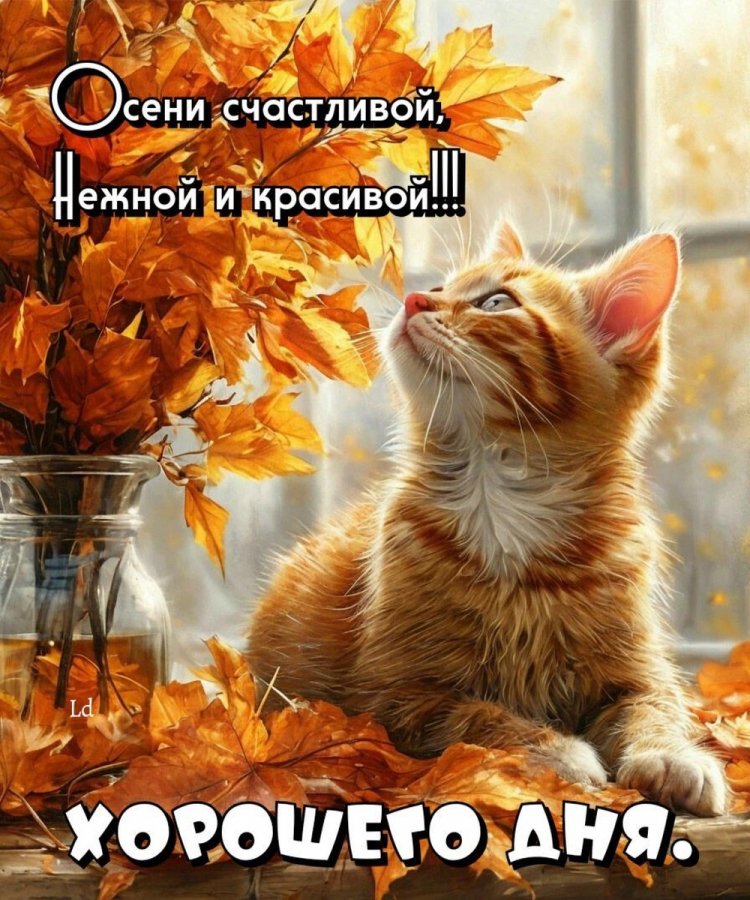 Оригинальные и красивые осенние открытки «Хорошего дня!» Оригинальные и красивые осенние открытки «Хорошего дня!»