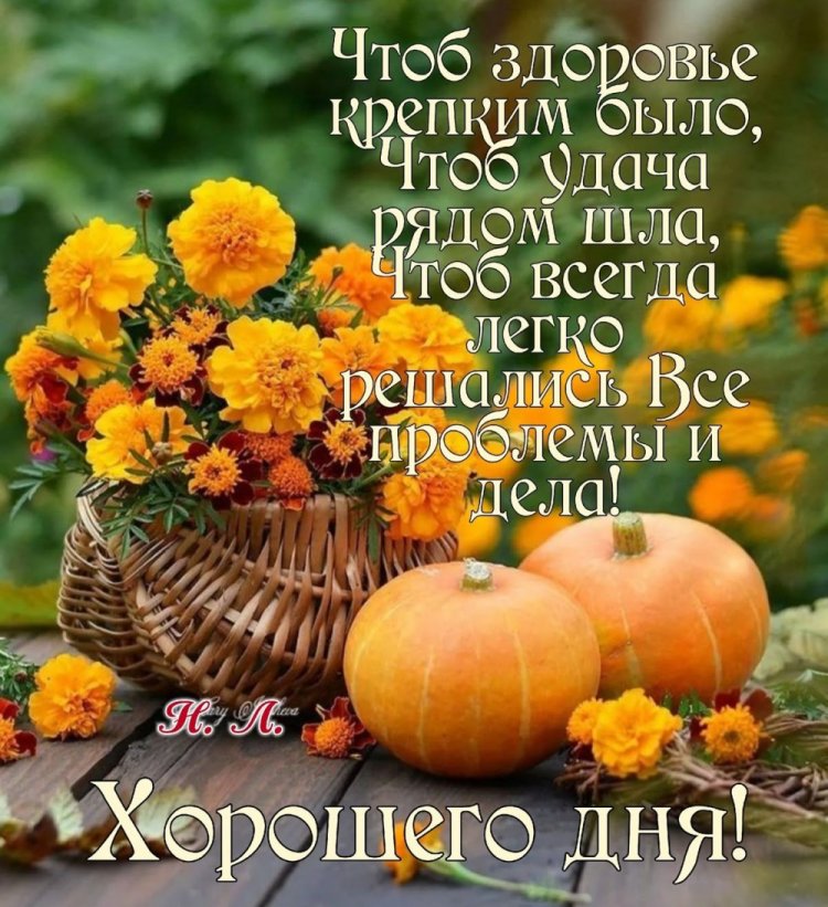 Оригинальные и красивые осенние открытки «Хорошего дня!» Оригинальные и красивые осенние открытки «Хорошего дня!»