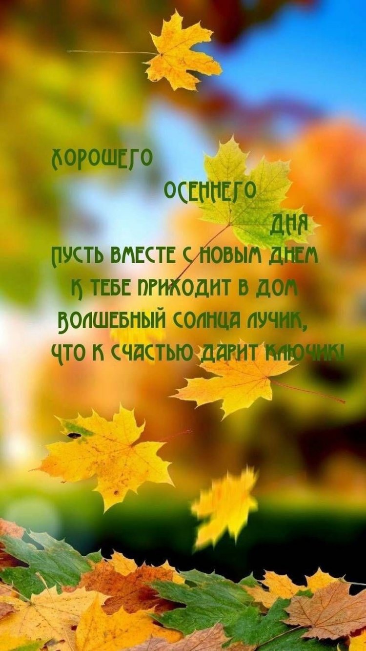 Осенние открытки «Хорошего дня!» для женщины Осенние открытки «Хорошего дня!» для женщины