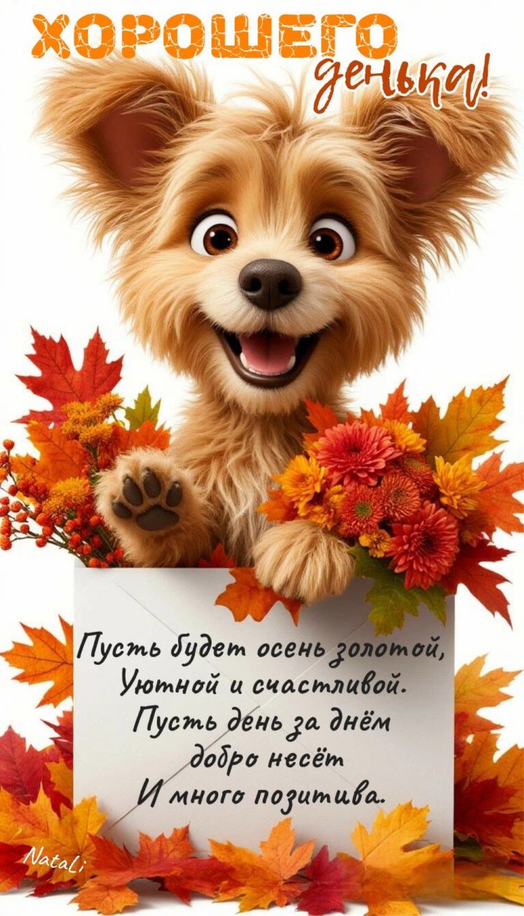 Прикольные осенние открытки «Хорошего дня!» Прикольные осенние открытки «Хорошего дня!»