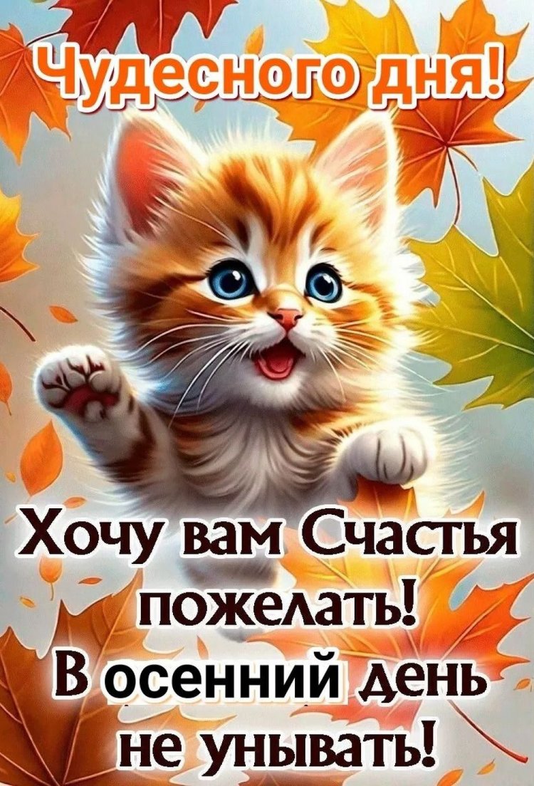 Прикольные осенние открытки «Хорошего дня!» Прикольные осенние открытки «Хорошего дня!»