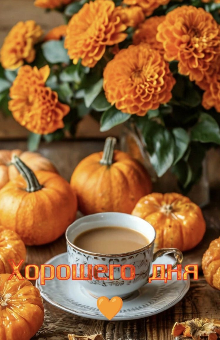 Трогательные осенние открытки «Хорошего дня!» Трогательные осенние открытки «Хорошего дня!»