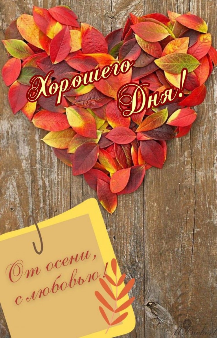 Трогательные осенние открытки «Хорошего дня!» Трогательные осенние открытки «Хорошего дня!»