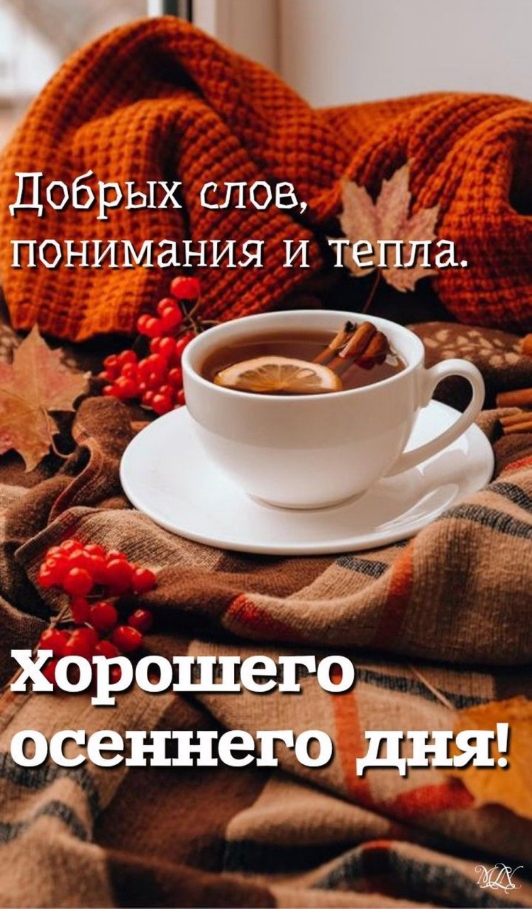Трогательные осенние открытки «Хорошего дня!» Трогательные осенние открытки «Хорошего дня!»