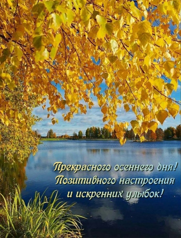 Осенние открытки «Хорошего дня!» для женщины Осенние открытки «Хорошего дня!» для женщины