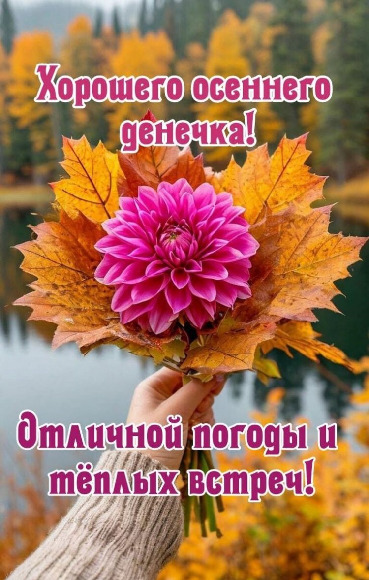 Осенние открытки «Хорошего дня!» мужчине Осенние открытки «Хорошего дня!» мужчине