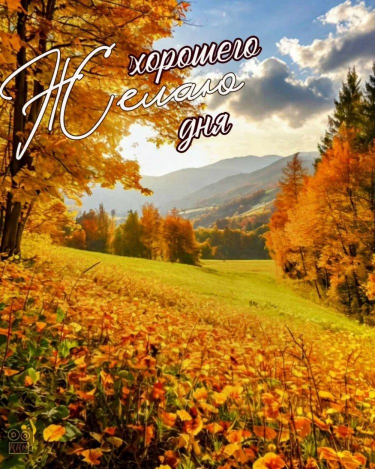 Осенние открытки «Хорошего дня!» мужчине Осенние открытки «Хорошего дня!» мужчине