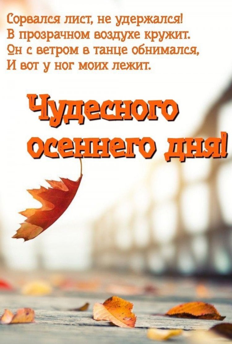 Осенние открытки «Хорошего дня!» мужчине Осенние открытки «Хорошего дня!» мужчине