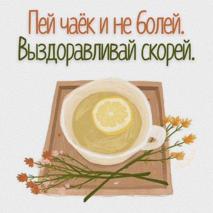 Оригинальные и красивые открытки «Выздоравливай!»