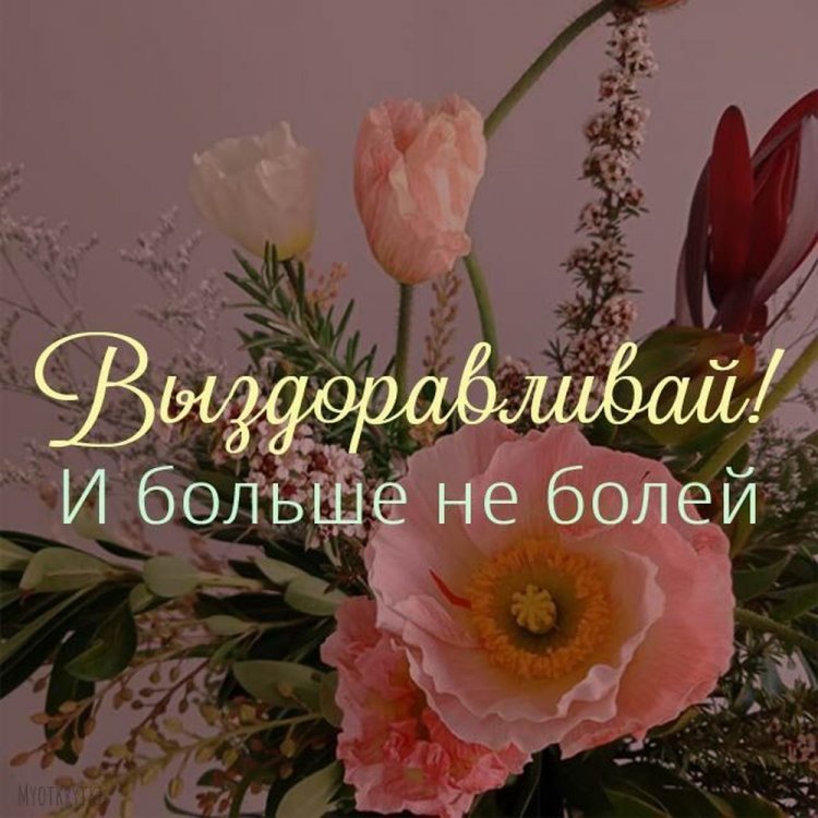 Открытки с пожеланием «Выздоравливай скорей и больше не болей!»