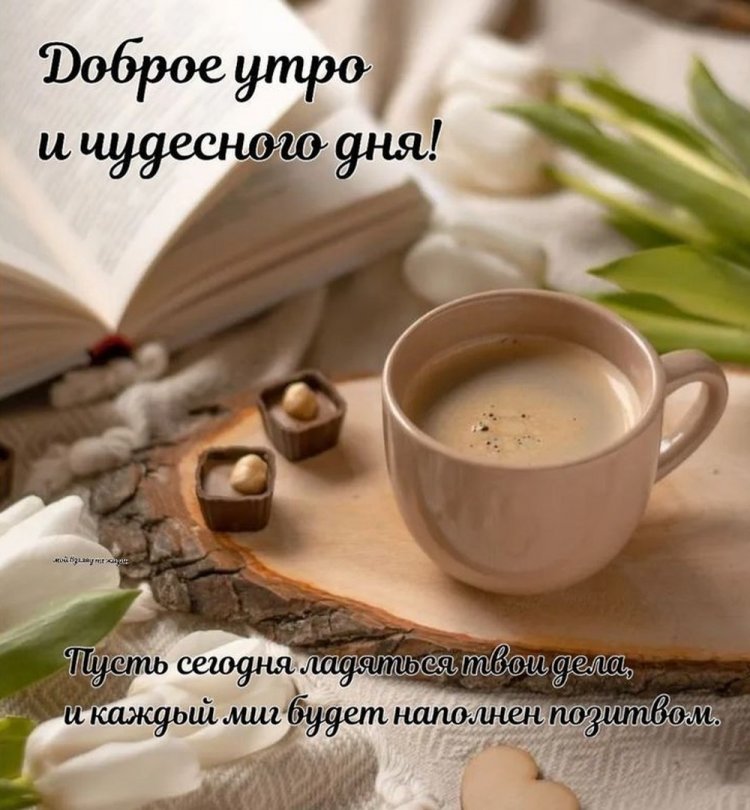 Открытки и картинки « Доброго утра и хорошего дня!»