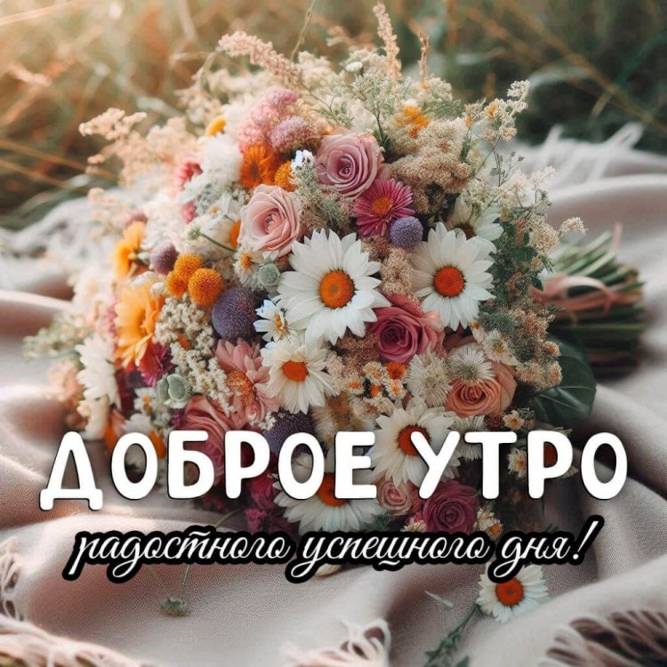 Открытки и картинки « Доброго утра и хорошего дня!»