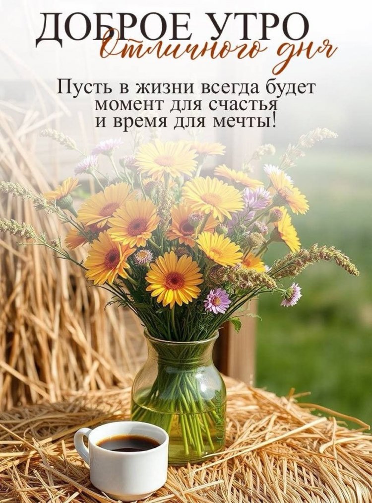 Открытки и картинки « Доброго утра и хорошего дня!»