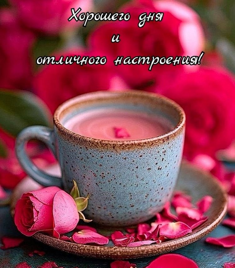 Открытки и картинки « Доброго дня и хорошего настроения!»