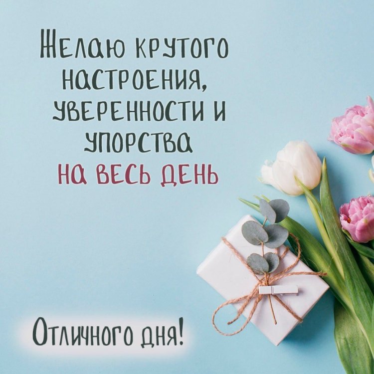 Открытки и картинки « Доброго дня и хорошего настроения!»