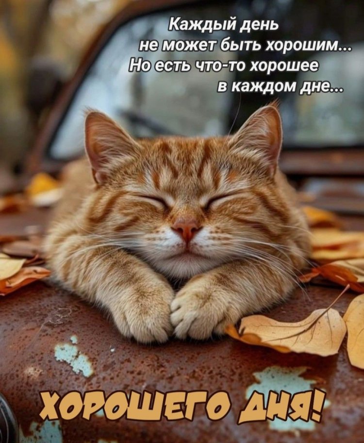 Оригинальные и красивые открытки и картинки «Хорошего дня!»