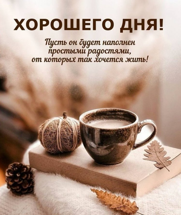 Открытки и картинки «Хорошего дня!» мужчине