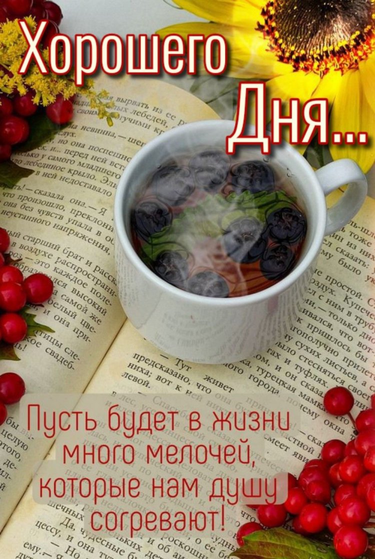 Открытки и картинки «Хорошего дня!» мужчине