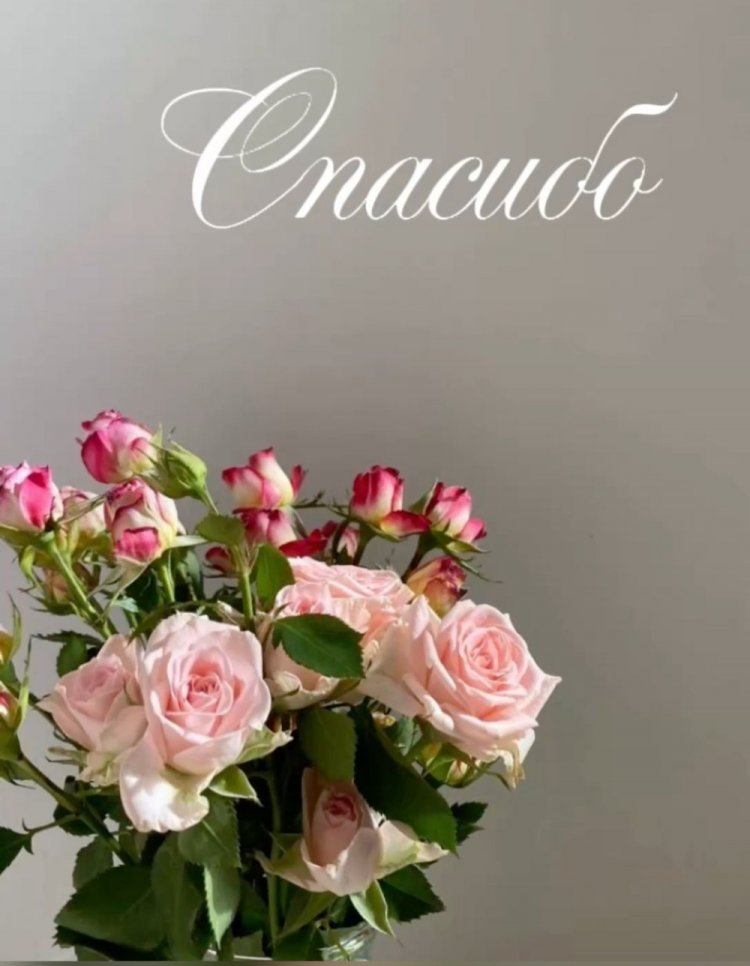 Оригинальные и красивые открытки «Спасибо!»