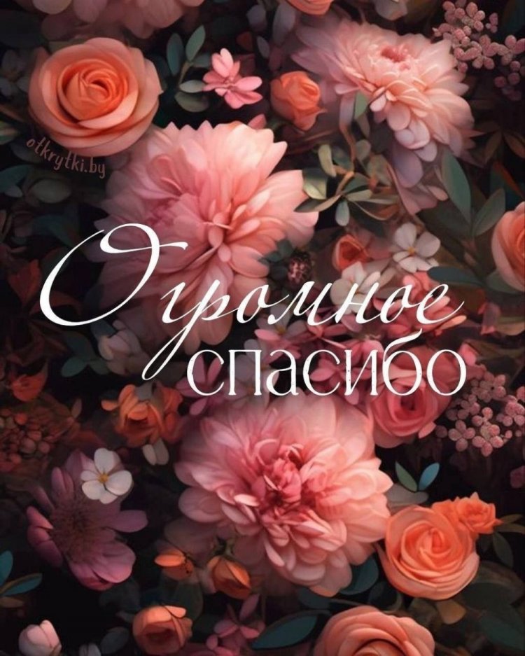 Оригинальные и красивые открытки «Спасибо!»