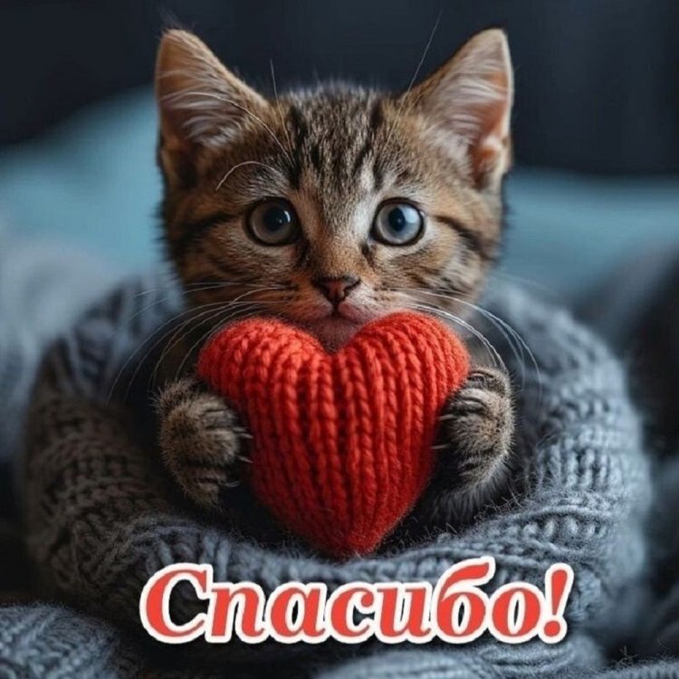 Прикольные открытки «Спасибо!»