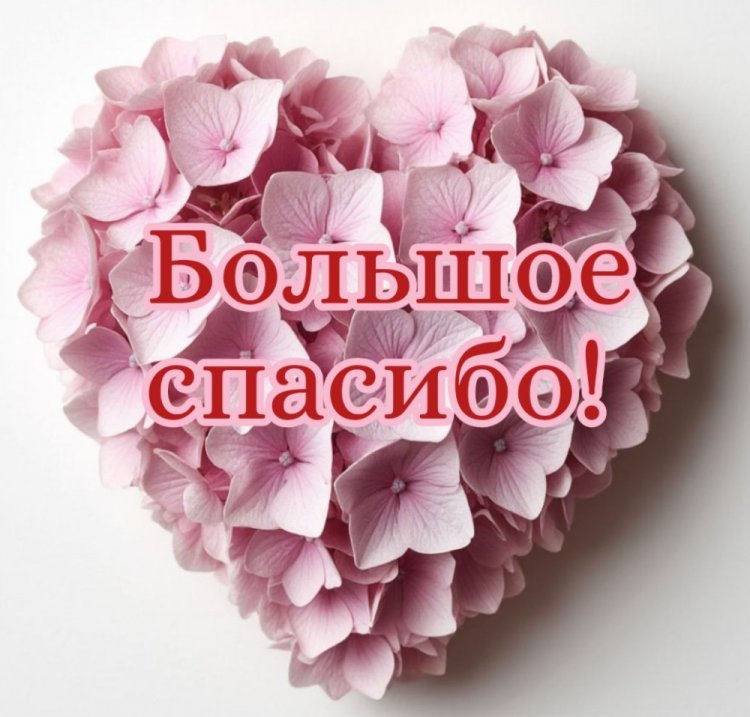 Открытки и картинки «Спасибо большое!»