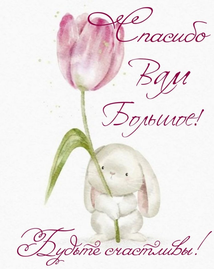 Открытки и картинки «Спасибо большое!»