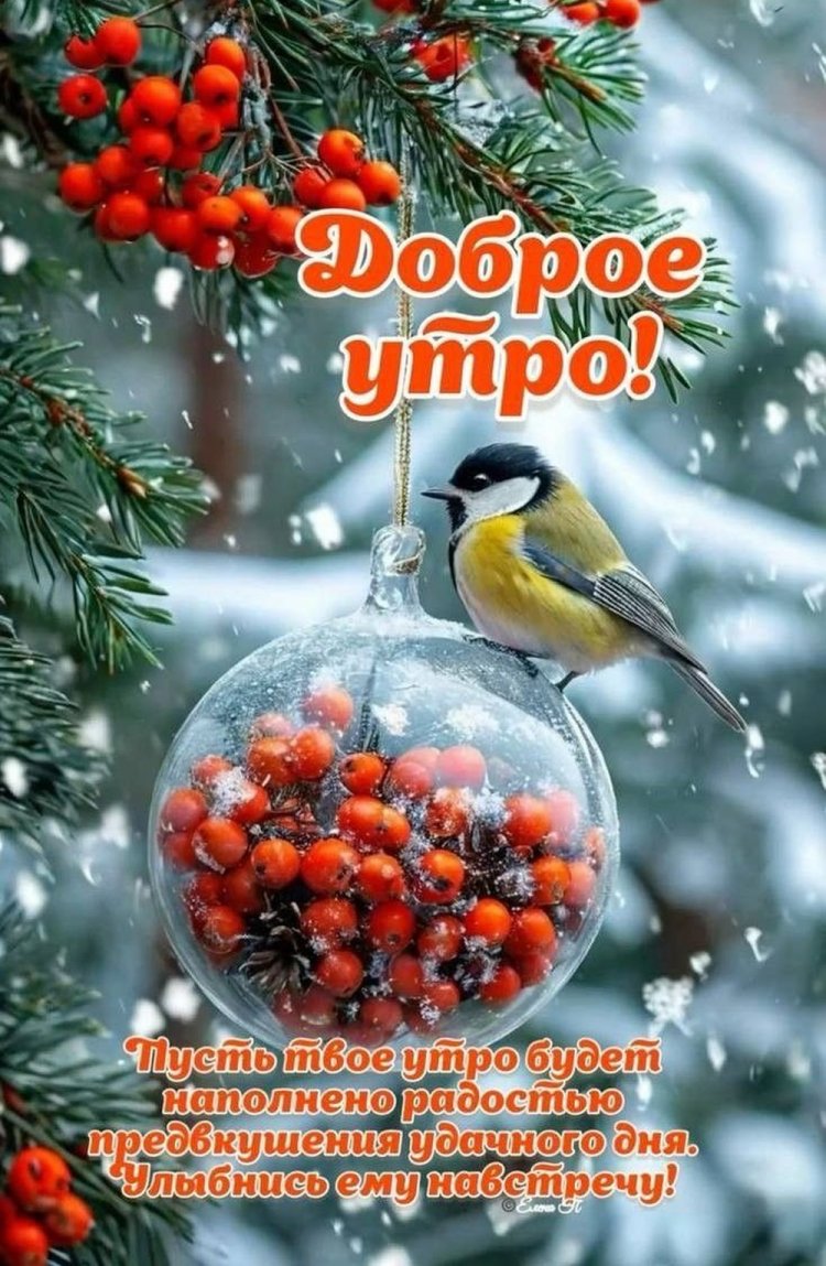 Зимние открытки «С добрым утром!» для мужчины