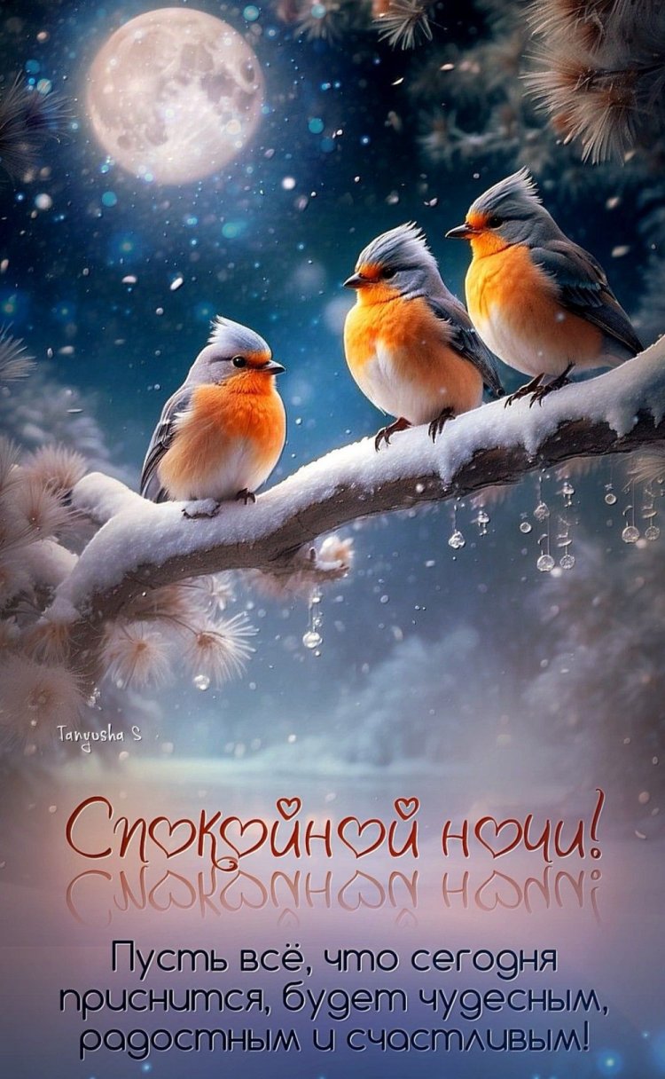 Оригинальные и красивые зимние открытки «Спокойной ночи!»