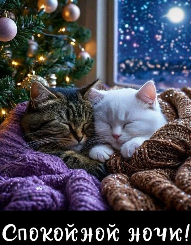 Прикольные зимние открытки «Спокойной ночи!»